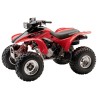 Honda TRX300EX (1993-2009) - Repair, Service Manual, Wiring Diagrams and Owners Manual