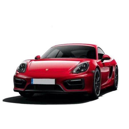 Porsche 981 Cayman 2012 to 2015 - Service Repair Manual - Wiring Diagram