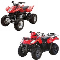 Arctic Cat 250 2006 to 2008...