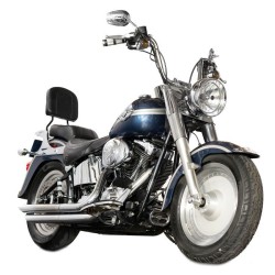 Harley Davidson Softail...