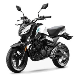 Cfmoto Papio 125 from 2019 - Service Manual - Repair Manual