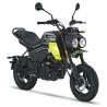 Cfmoto Papio CL from 2024 - Service Manual - Repair Manual