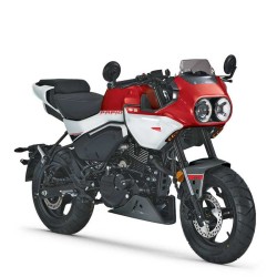 Cfmoto Papio SS from 2024 - Service Manual - Repair Manual