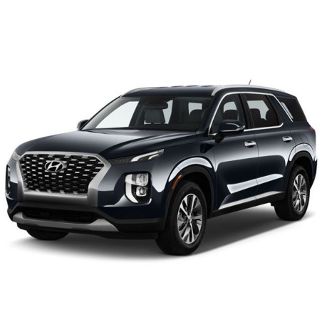 Hyundai Palisade 2020 to 2023 - Service Repair Manual - Wiring Diagrams