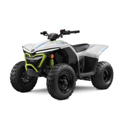 Cfmoto Cforce 110 EV from 2023 - Service Manual - Repair Manual