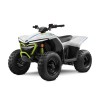 Cfmoto Cforce 110 EV from 2023 - Service Manual - Repair Manual