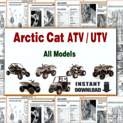 Arctic Cat (1996-2012...