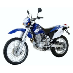 Yamaha TT600R/RE - Repair,...